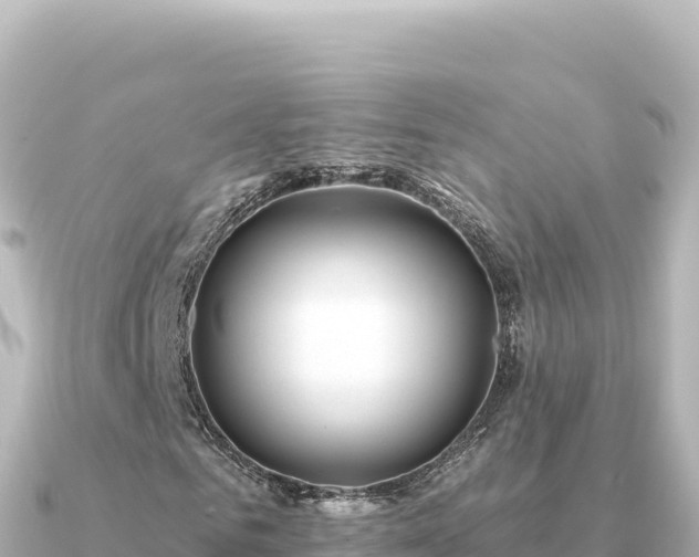 X0000091350961200708101527