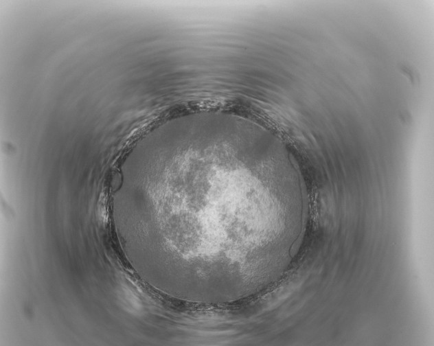 X0000091350962200708101527
