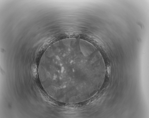 X0000091350963200708101527