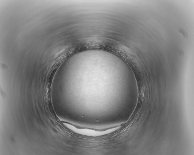 X0000091350964200708101527