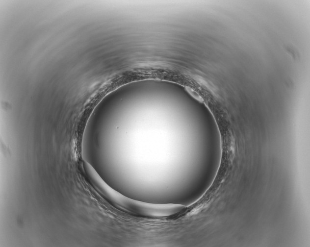 X0000091350965200708101527