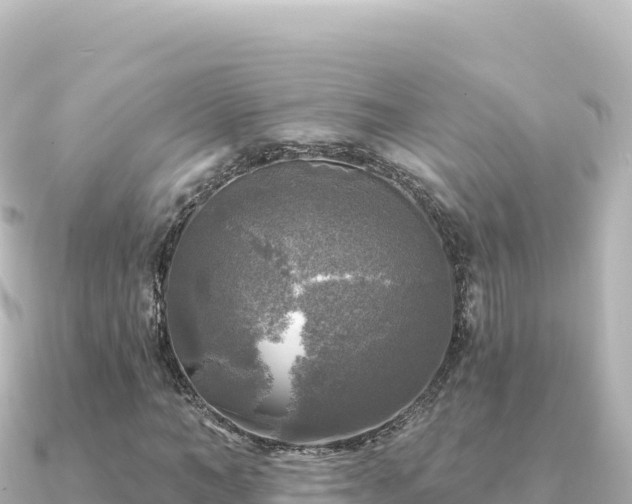 X0000091350966200708101527