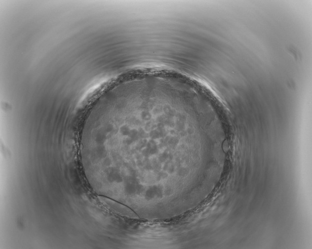 X0000091350967200708101527
