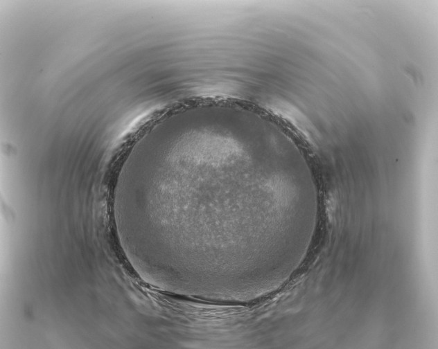 X0000091350968200708101527