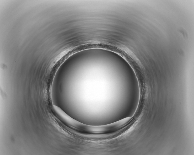 X0000091350969200708101527