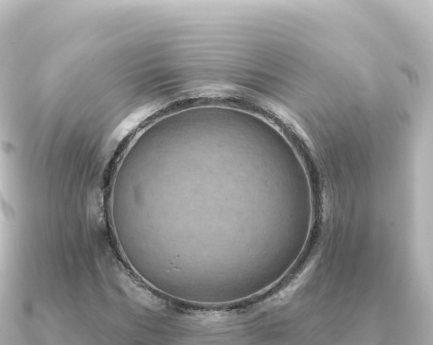 X0000091350970200708101527