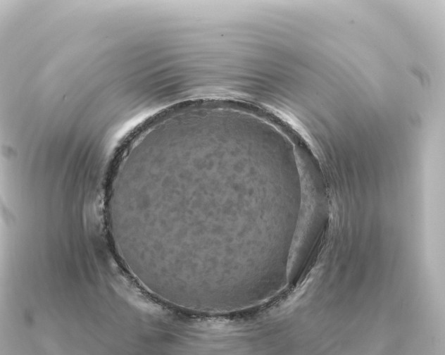X0000091350971200708101527