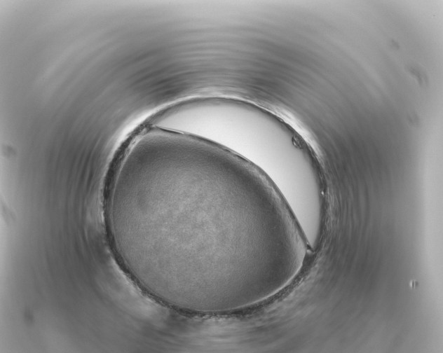 X0000091350972200708101527