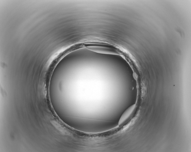 X0000091350973200708101527