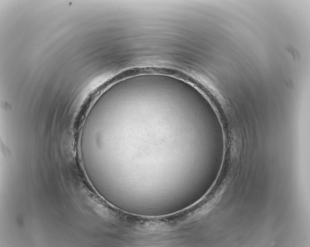 X0000091350974200708101527