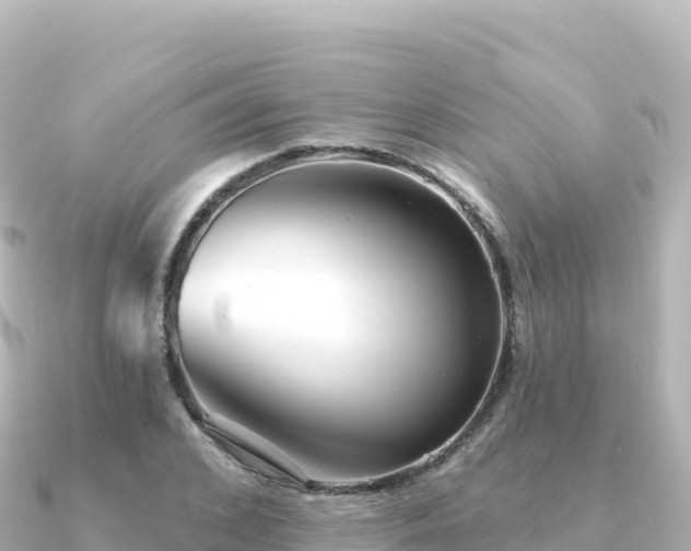 X0000091350976200708101527