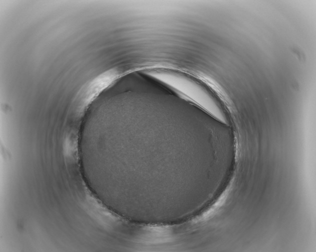 X0000091350977200708101527