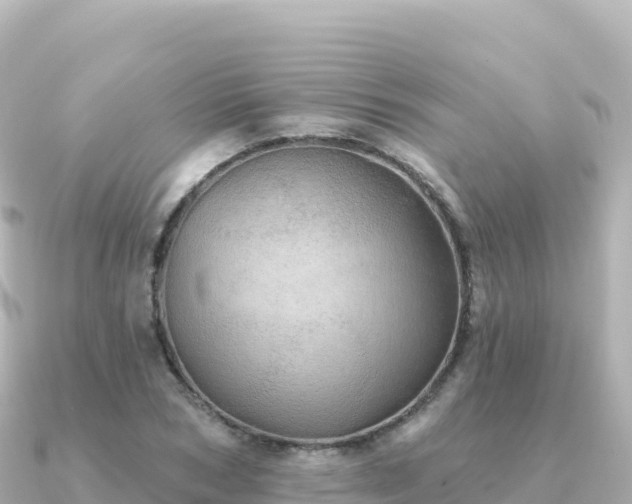 X0000091350978200708101527