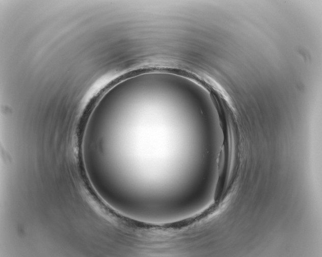 X0000091350981200708101527