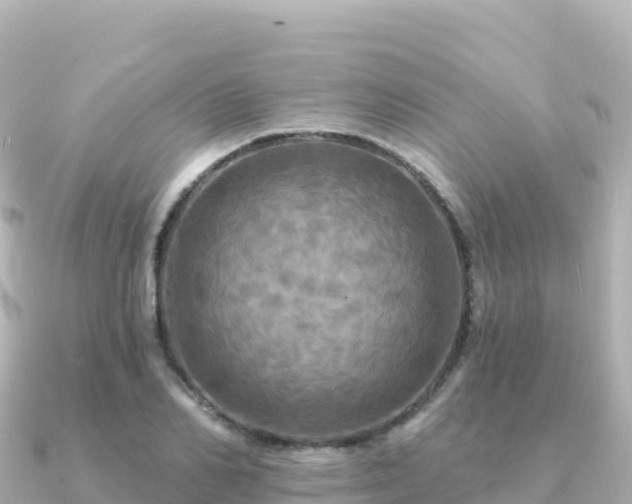X0000091350982200708101527
