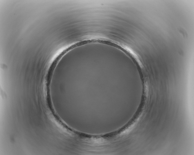 X0000091350983200708101527