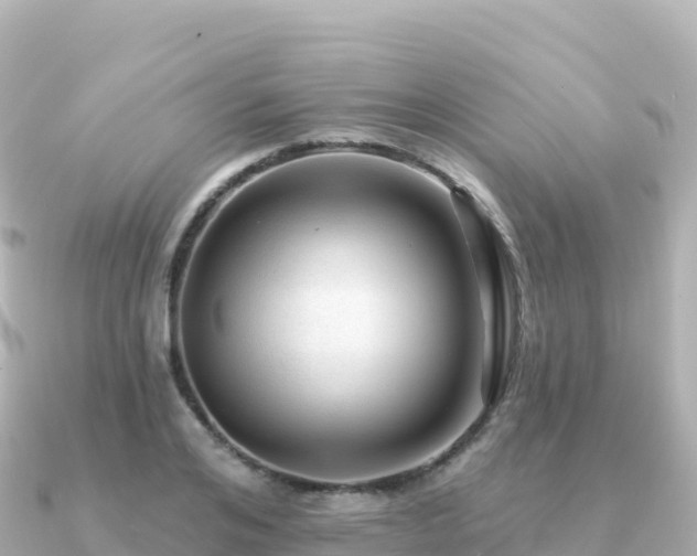 X0000091350984200708101526