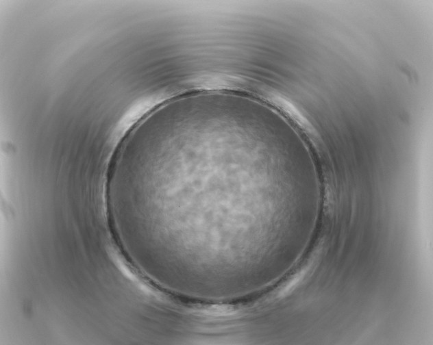 X0000091350986200708101526