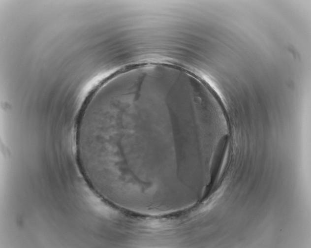 X0000091350987200708101526