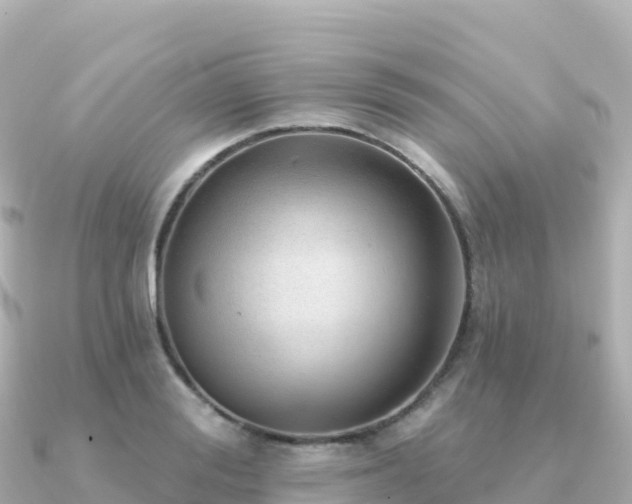 X0000091350988200708101526