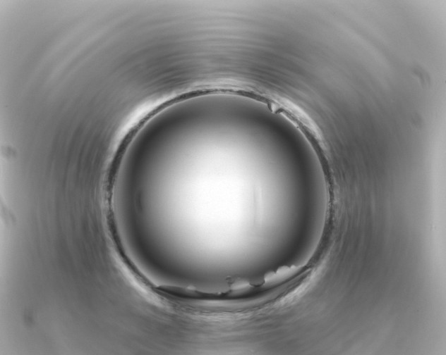 X0000091350989200708101526