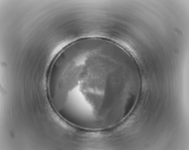 X0000091350990200708101526