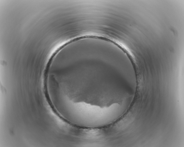 X0000091350991200708101526