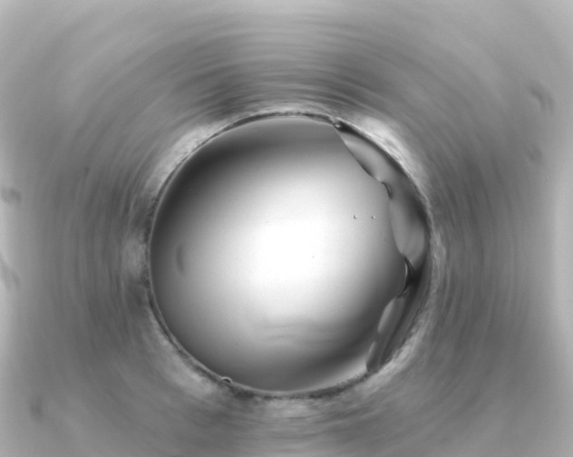 X0000091350993200708101526