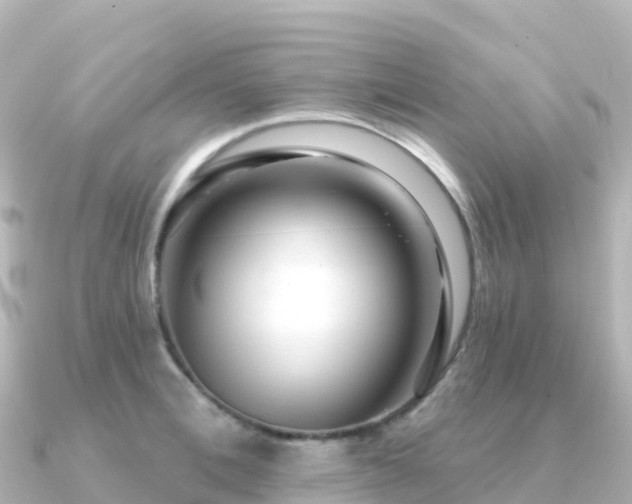 X0000091350996200708101526