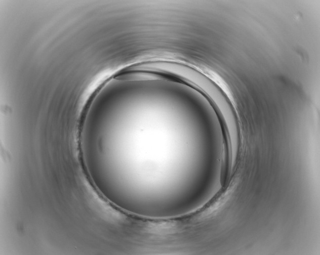 X0000091350997200708101526