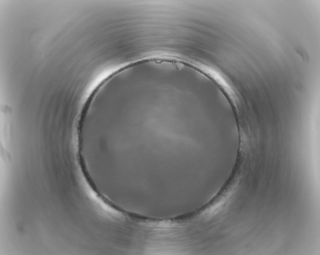 X0000091350999200708101526