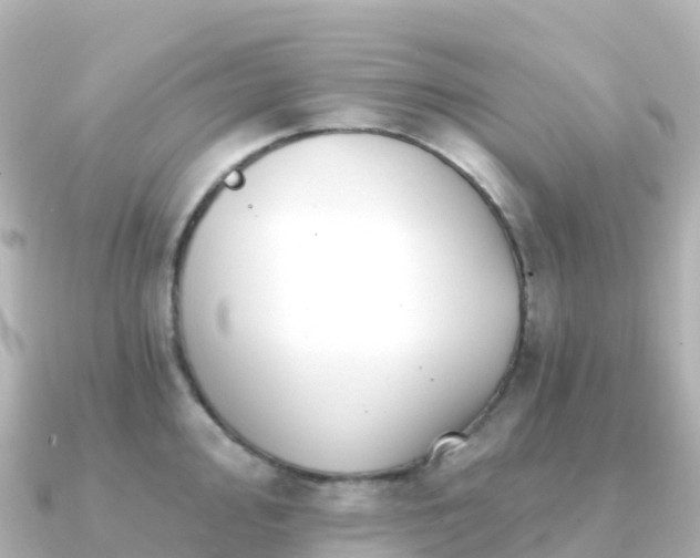 X0000091351000200708101526