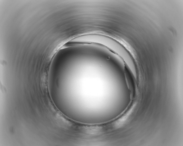 X0000091351001200708101526