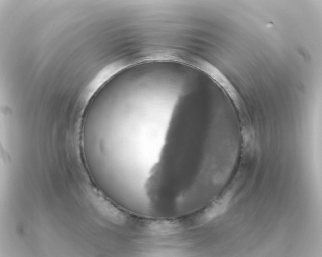 X0000091351002200708101526