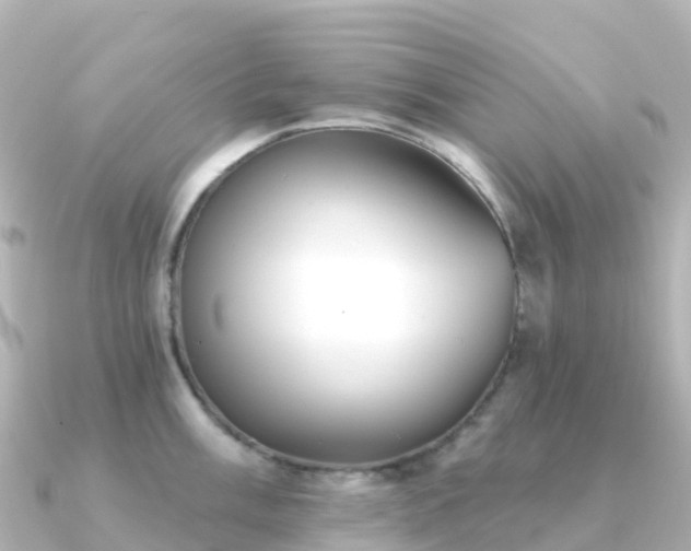 X0000091351003200708101526