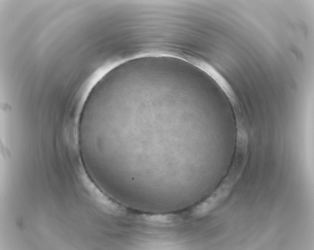 X0000091351004200708101526