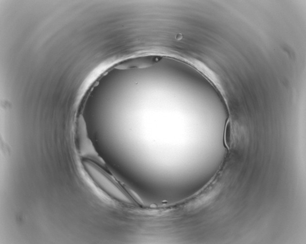 X0000091351005200708101526