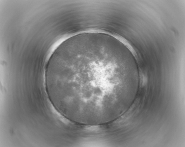 X0000091351006200708101526