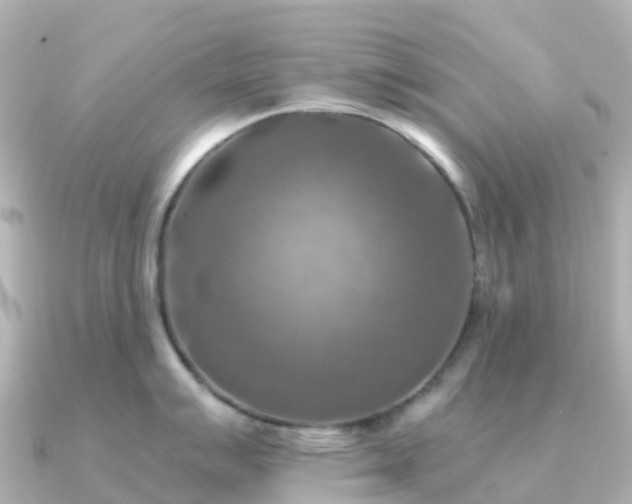 X0000091351007200708101526