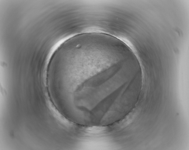 X0000091351008200708101526