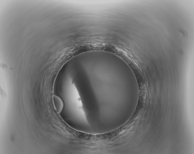X0000091351009200708101526