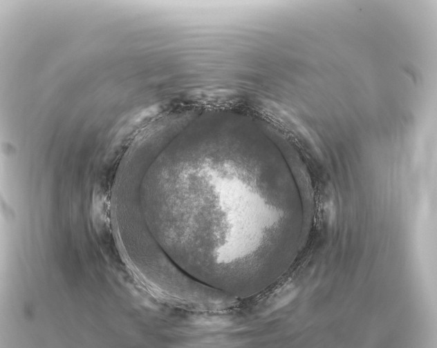 X0000091351010200708101526