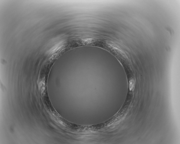 X0000091351011200708101526