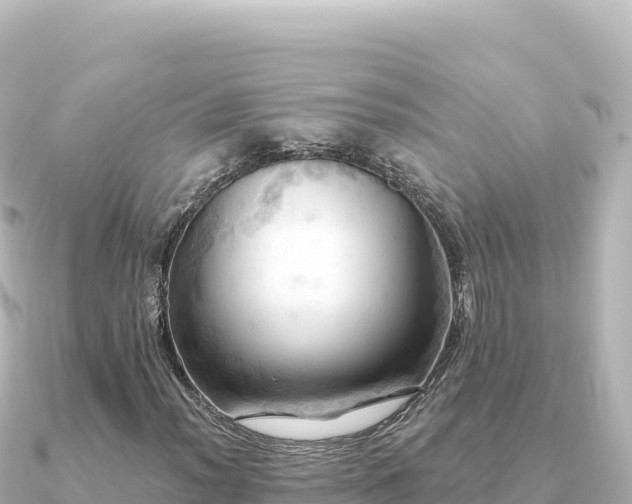 X0000091351012200708101526