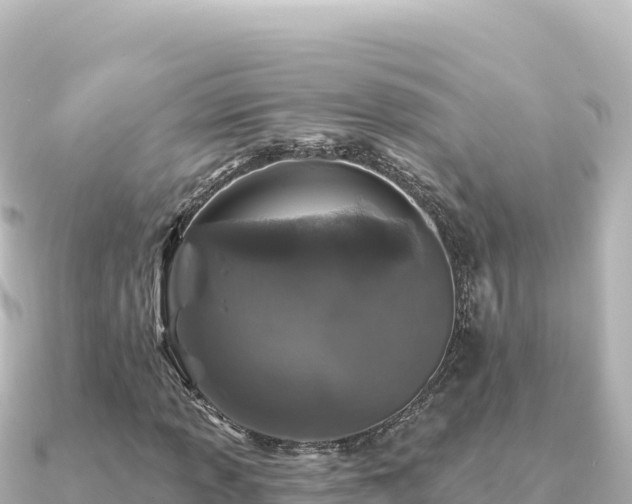 X0000091351013200708101526