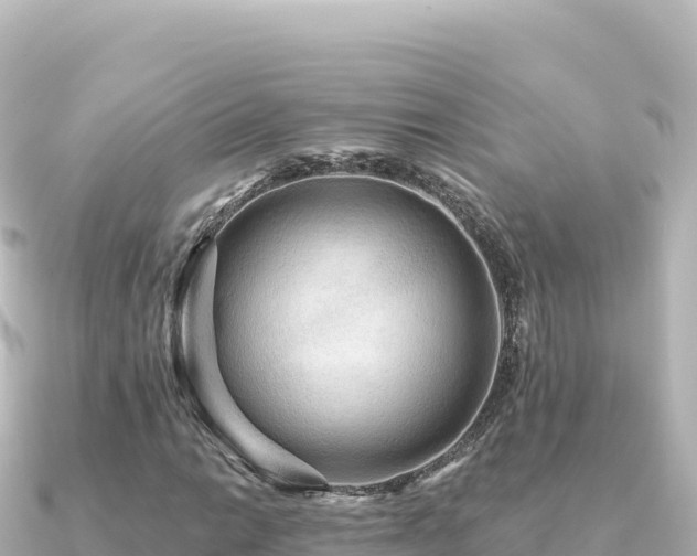 X0000091351014200708101526