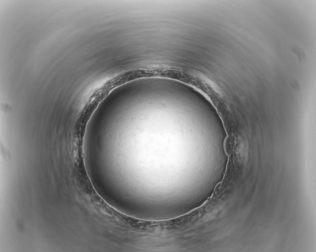 X0000091351016200708101526