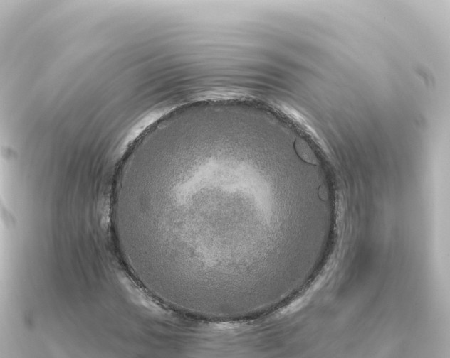 X0000091351017200708101526
