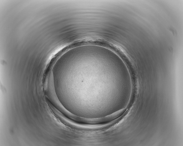 X0000091351018200708101526