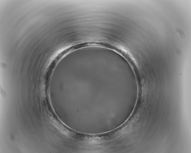 X0000091351019200708101526